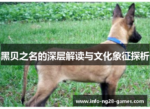 黑贝之名的深层解读与文化象征探析